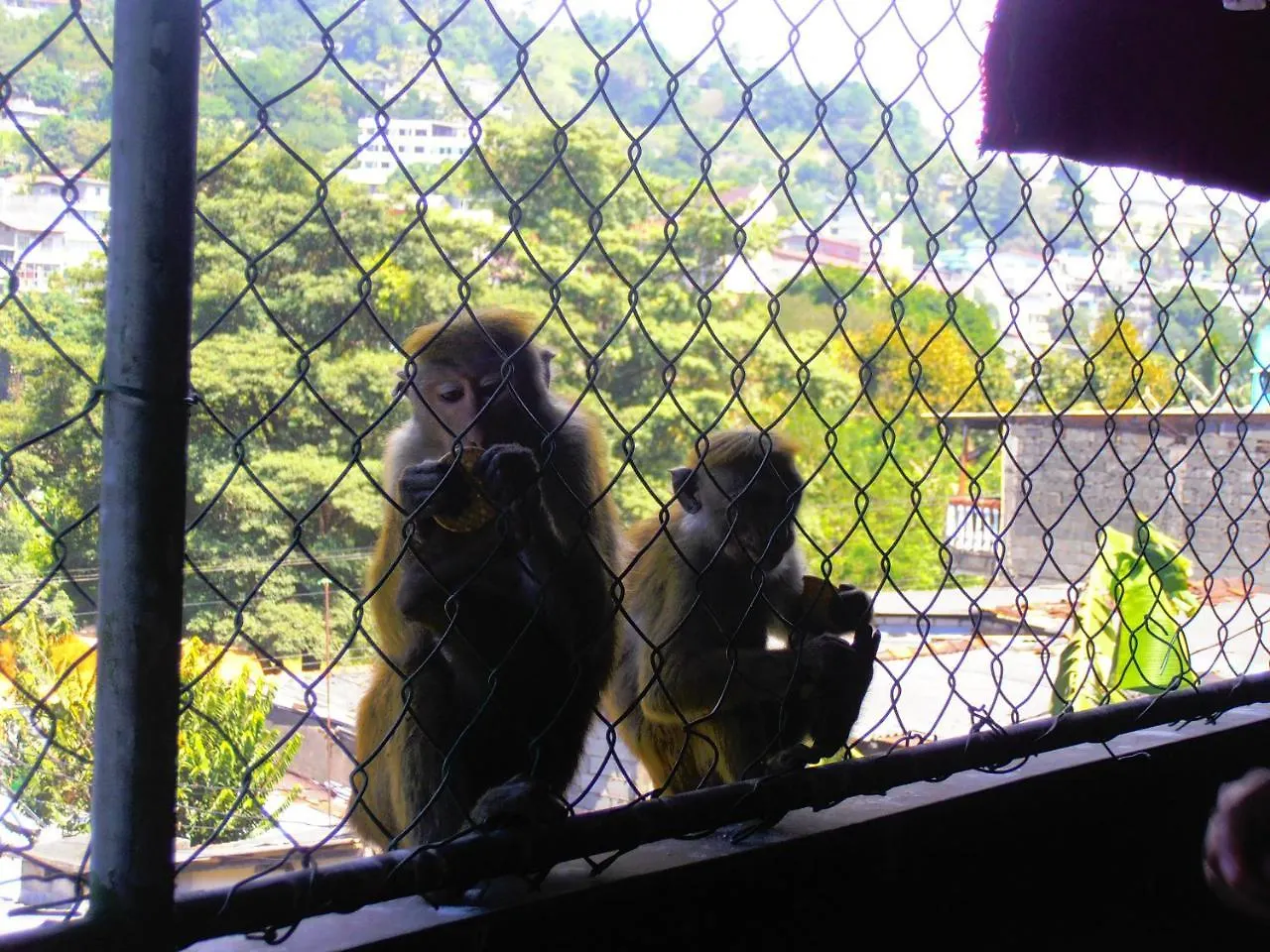 Ritzy Residence Kandy